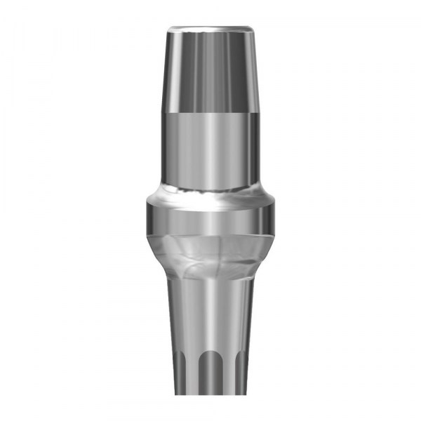 MONCONE ESTETICO DRITTO 1 IMMAGINE 